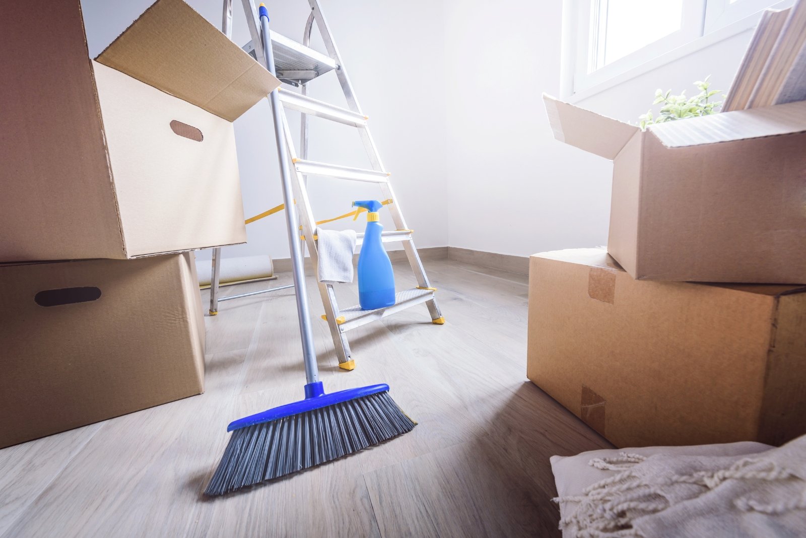 move-in-and-move-out
